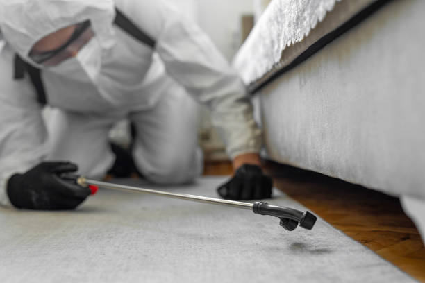 Professional Termite Control technician working in Lamar, MO