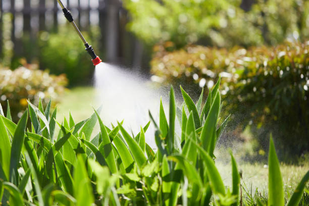 24/7 Emergency Termite Control experts in Lamar, MO