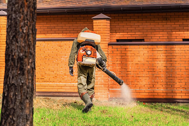 Top rated local Termite Control specialists in Lamar, MO
